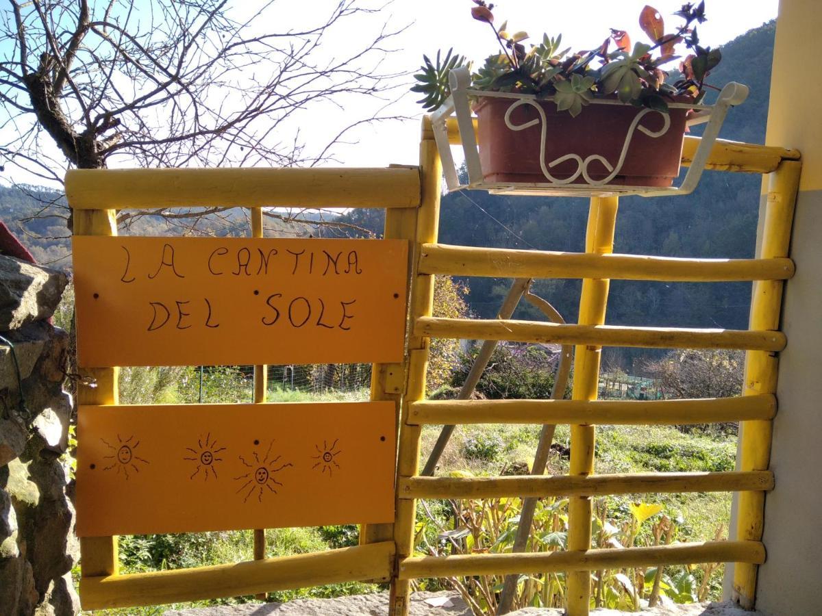 La Cantina Del Sole Villa Riccò del Golfo di Spezia Esterno foto