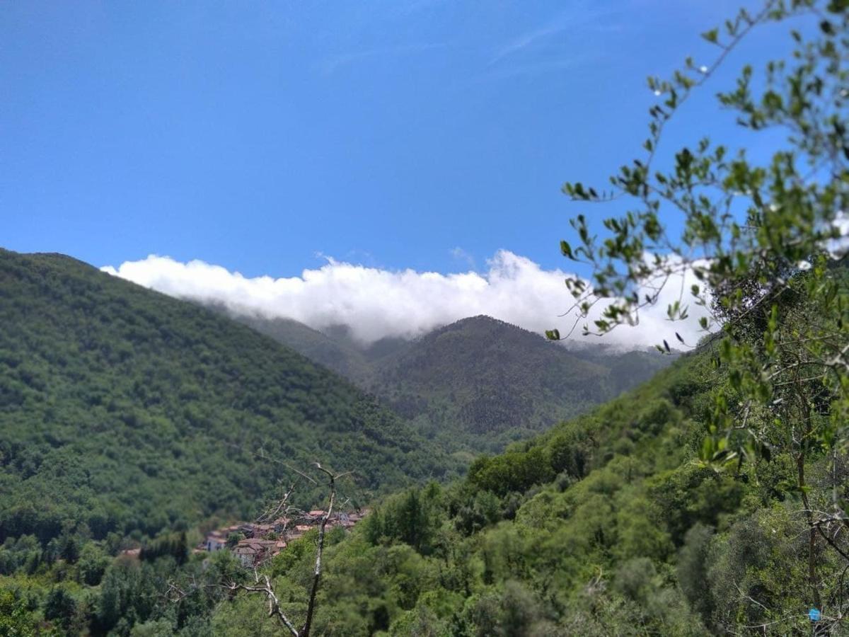 La Cantina Del Sole Villa Riccò del Golfo di Spezia Esterno foto