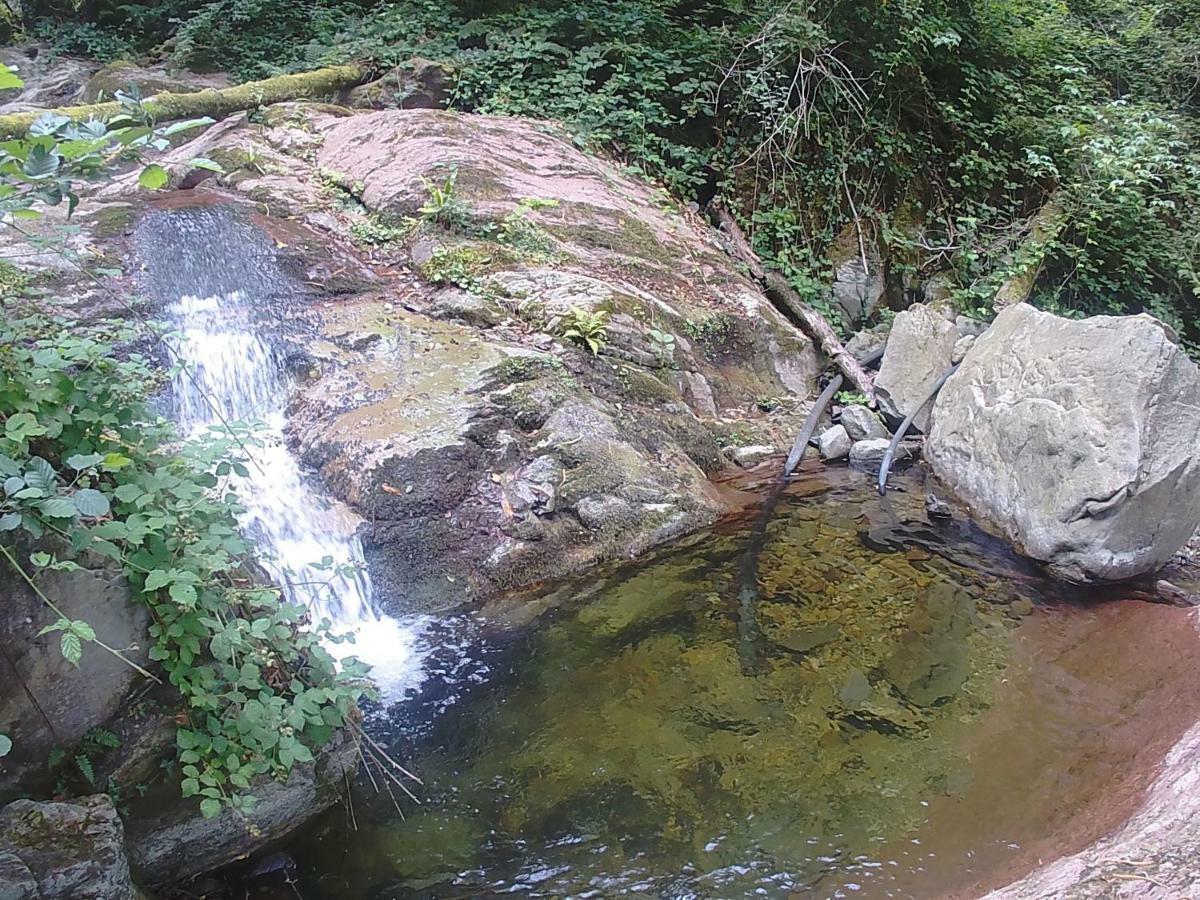 La Cantina Del Sole Villa Riccò del Golfo di Spezia Esterno foto