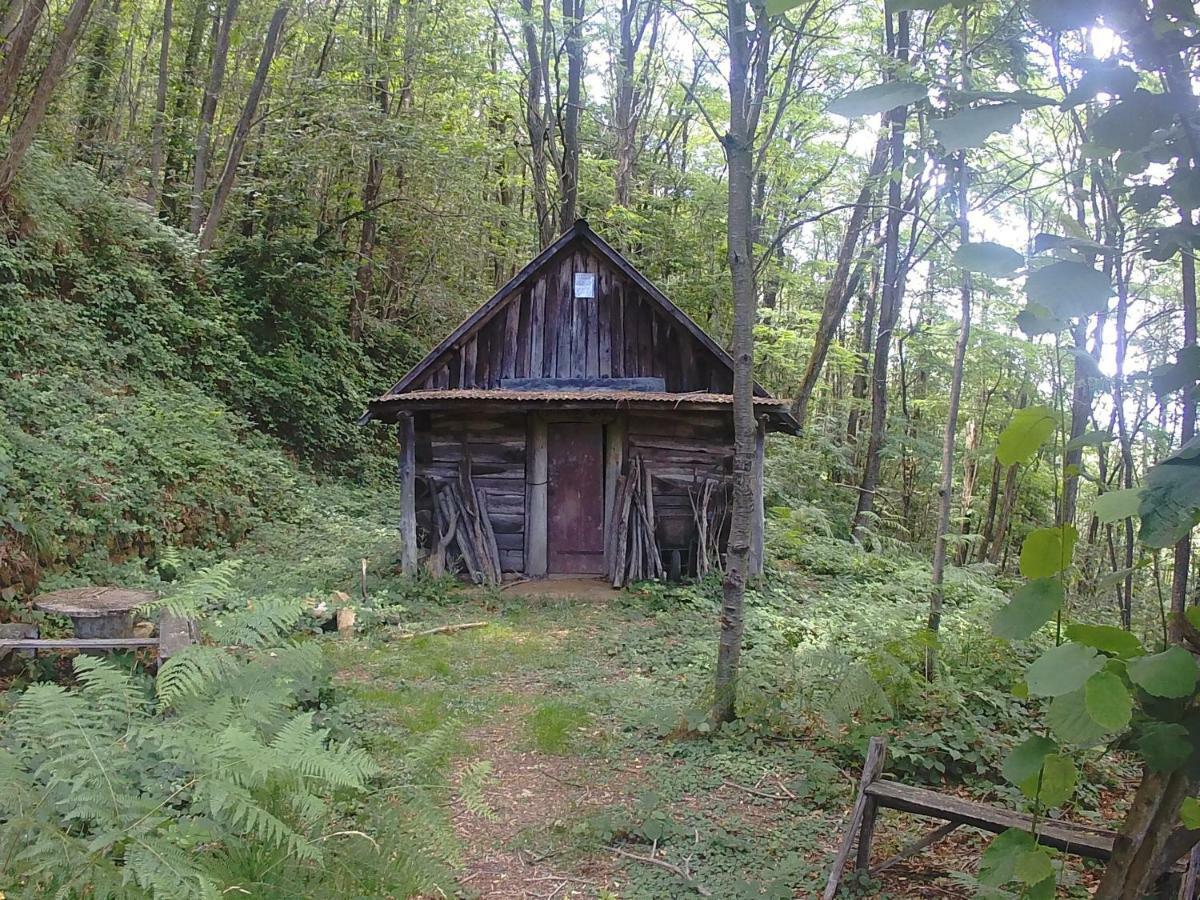 La Cantina Del Sole Villa Riccò del Golfo di Spezia Esterno foto